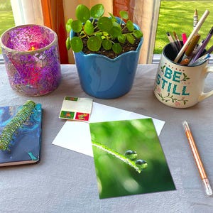 May include: A still life arrangement featuring a blue potted plant, a mosaic candle holder, and a mug with the text "BE STILL". Also present are a notebook, a pen, and a photograph of water droplets on a green stem.