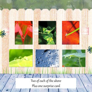 Collezione di biglietti d'auguri Dew Drops I / Set di cancelleria in scatola / Biglietti di auguri sulla natura / Biglietti con poesie / Regalo per scrivere lettere