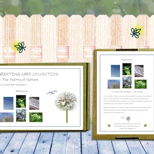 Tarjetas de meditación / Papelería de naturaleza pacífica / Colección de tarjetas de felicitación / Regalo para escribir cartas