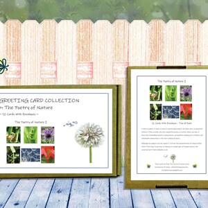 Poesie der Natur I Grußkarten Boxed Briefpapier Set | Brief schreiben Geschenk | Friedliche Natur Grußkarten | Karten mit Gedichten