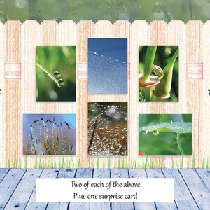 Tautropfen II Grußkarten Kollektion | Boxed Briefpapier-Set | Friedliche Natur Grußkarten | Karten mit Gedichten | Brief Schreiben Geschenk