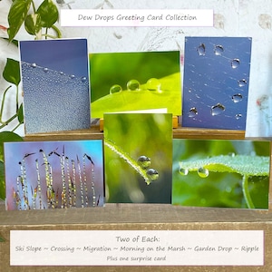 Dew Drop Greeting Cards, Nature Note Cards With Poems, Stationery Set