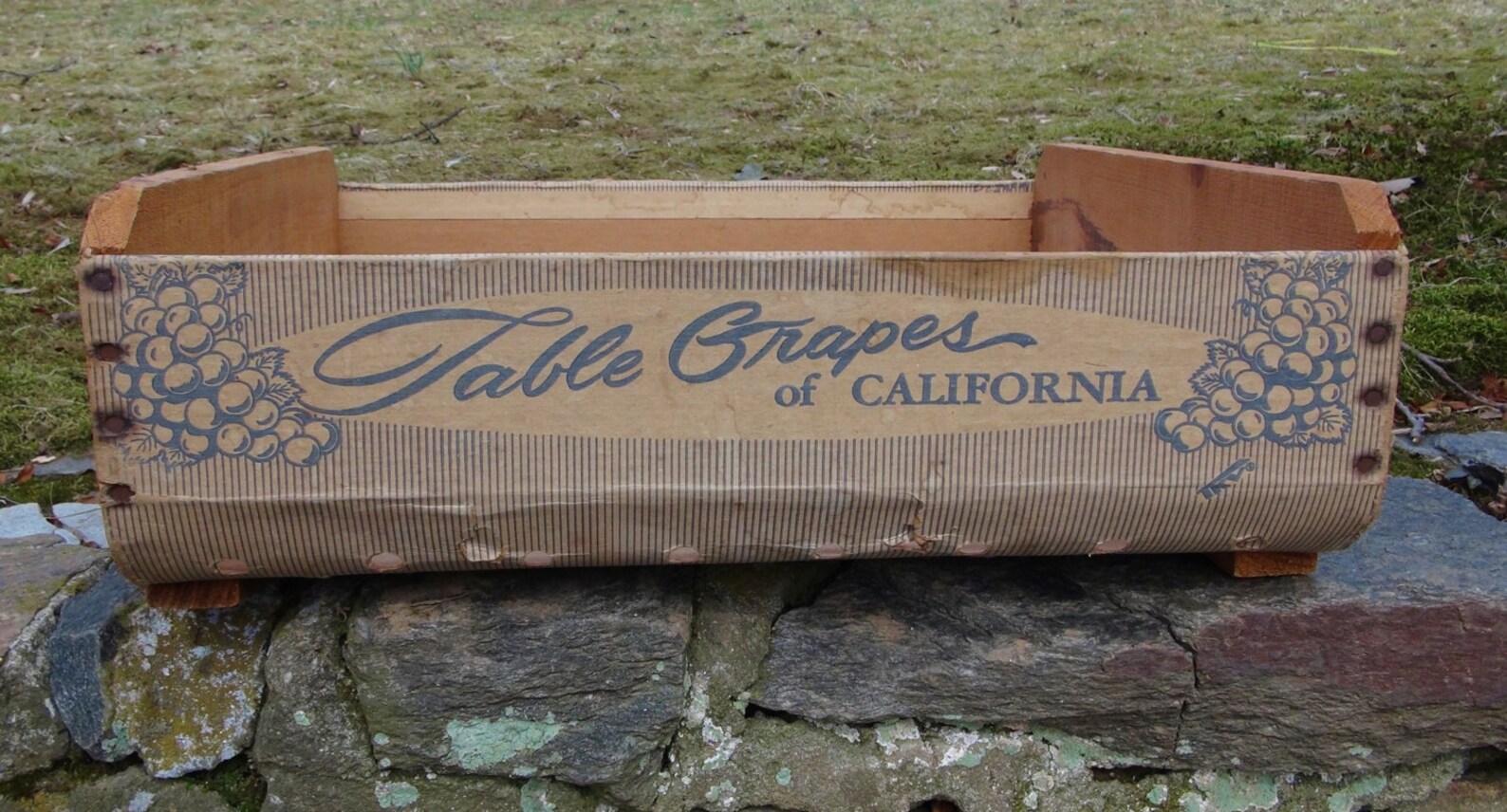 Vintage Wooden Box / Grape Harvesting Crate / Sunview Grape Etsy