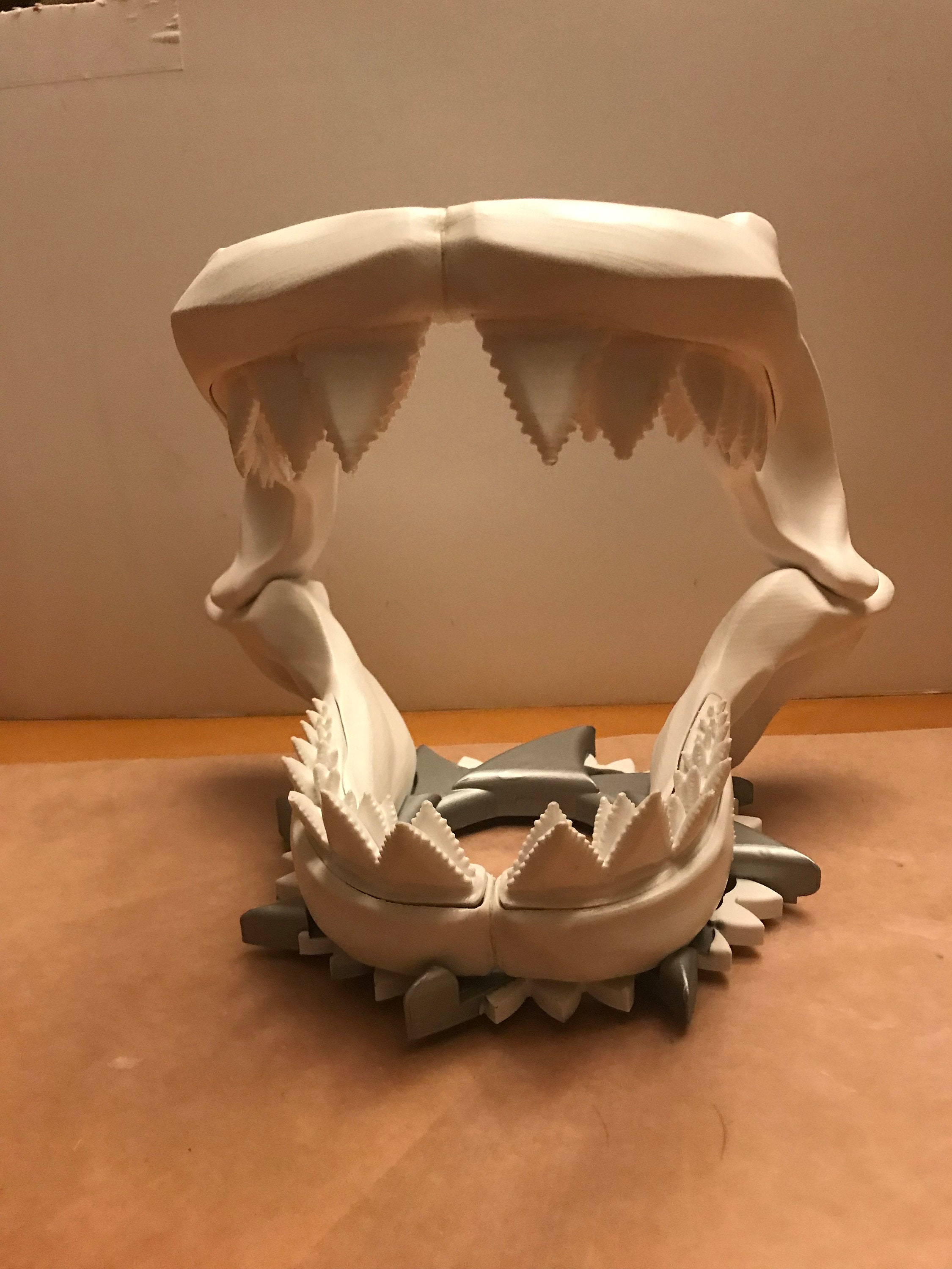 Great White Shark Jaw - Etsy