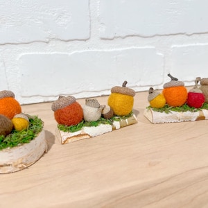 Escenas de bellotas de otoño / Decoración con bellotas de fieltro / Decoración de bandejas escalonadas