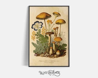 May include: Vintage botanical illustration featuring a cluster of yellow and orange mushrooms with brown stems growing amongst green foliage and blue flowers. The text "Fungorum fasciculus ad veluptatem oculorum" is printed below the image.