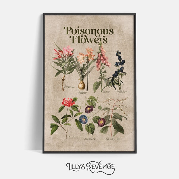 Poisonous Flowers Wall Art Toxic Plants Nature Wall Art Poison Flower Wall Art Dark Academia Lily of the Valley Wall Art | DIGITAL DOWNLOAD