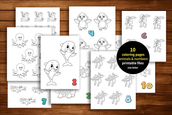 Activities for kids Preschool Kindergarten Worksheets | Etsy