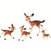 see more listings in the DEER / FAWN section