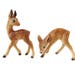 see more listings in the DEER / FAWN section