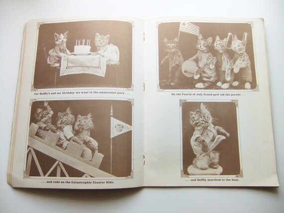 Cat Tales Family Album Vintage Book Harry Whittier Freese Anthropomorphic Animal Art Photography Kittens Book Coffee Table Book - 