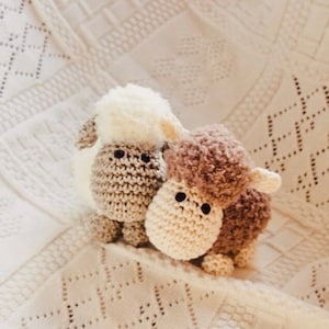 Crochet set cuddly sheep crochet kit amigurumi