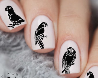 PARROT Waterslide Nail Decals MEGAPACK 40 Black Parrots Tropical Nails Water Transfer Decals, Vacation Nails, Parrots Nail Art, Parrot Nails