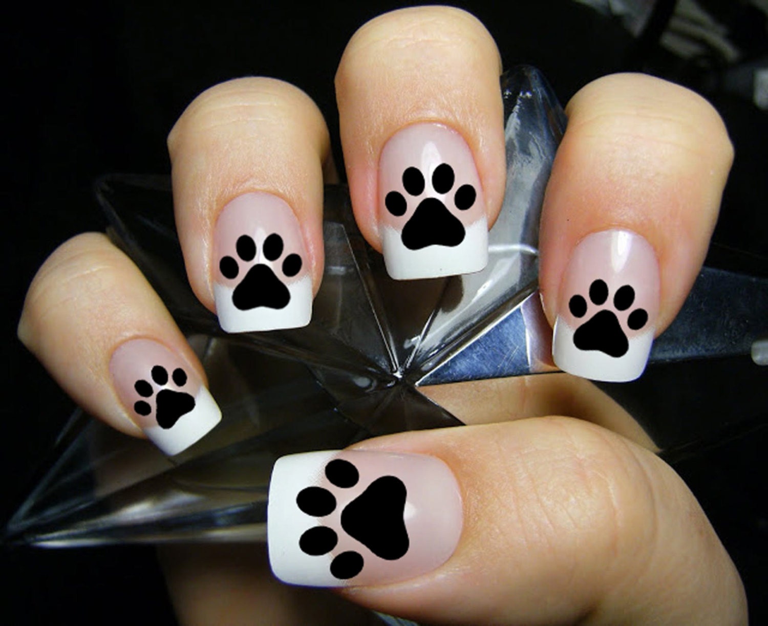 2. Simple Paw Print Toe Nail Design - wide 2