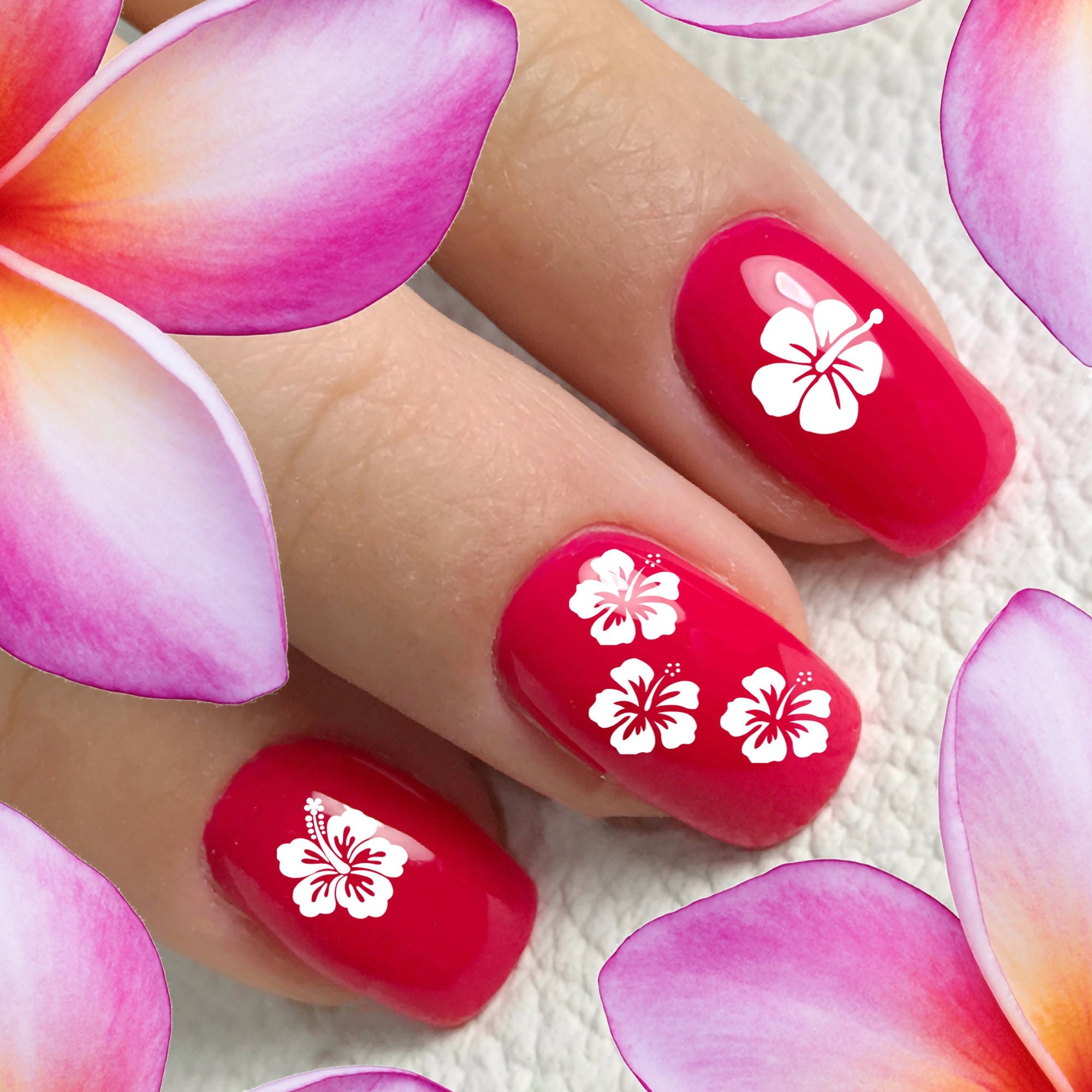 Dried flowers nail art accessories dried flowers colorful life nail flower  stickers 12 color color a