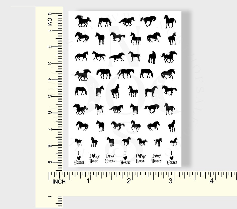 Sample pack of horses showing size