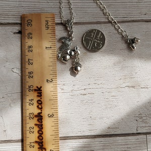 Squirrel and Acorn Pendant Necklace. Silver Plate Personalise Choose Chain length. Extendable, Gift for Nature lover, Oak Tree Nut, image 7