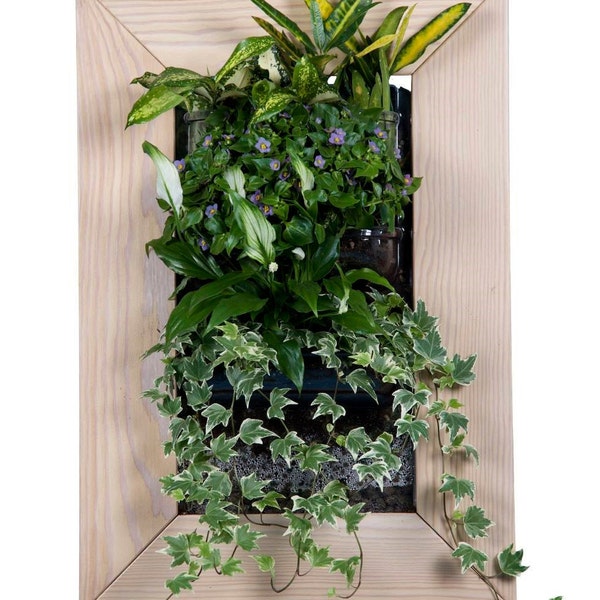 Biovertigo Wood Vertical Garden Kit