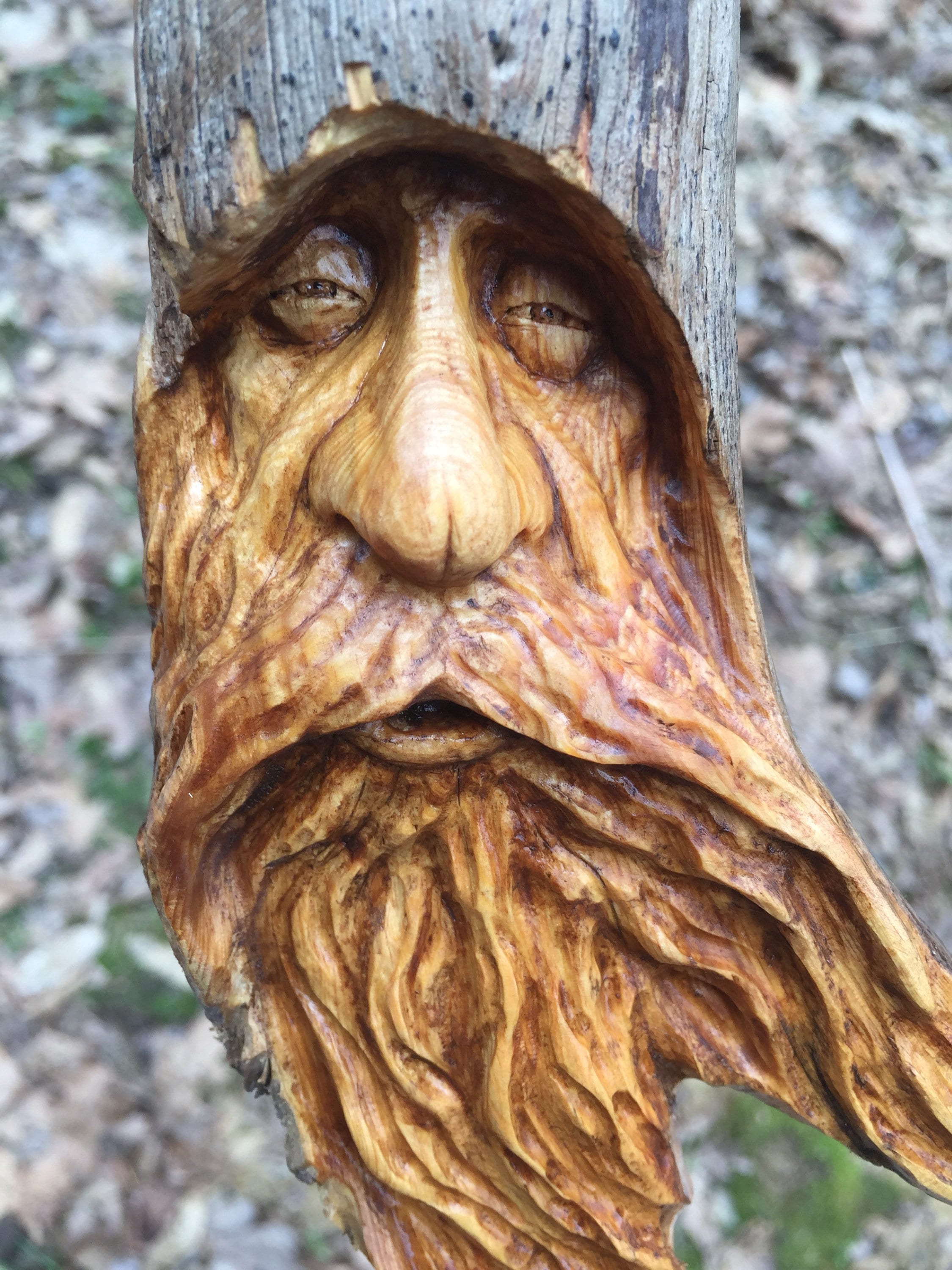 Wood Carving, Perfect Wood Gift for Him or Her, Rustic Wall Art, Old