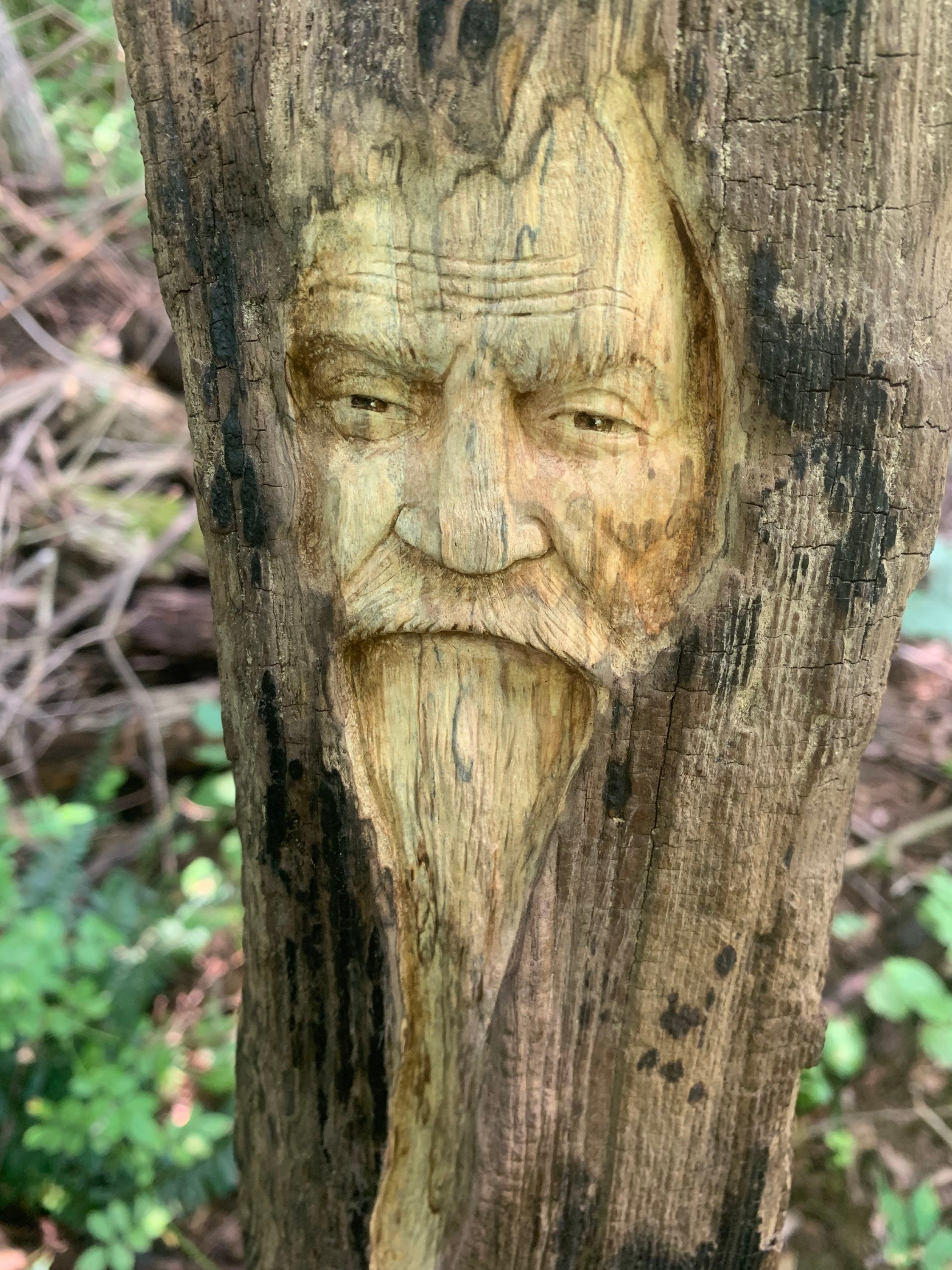 Driftwood Carving, Hand Carved Wood Art, by Josh Carte, Wood Wall Art