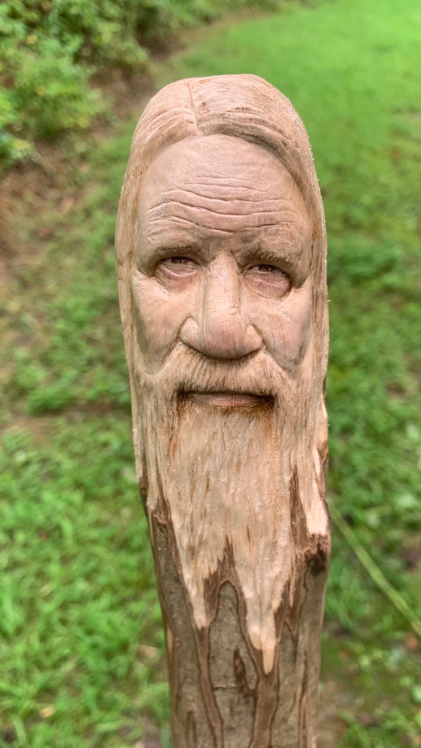 Walking Stick, Wood Carving, Carved Walking Stick, Hand Carved Wood Art