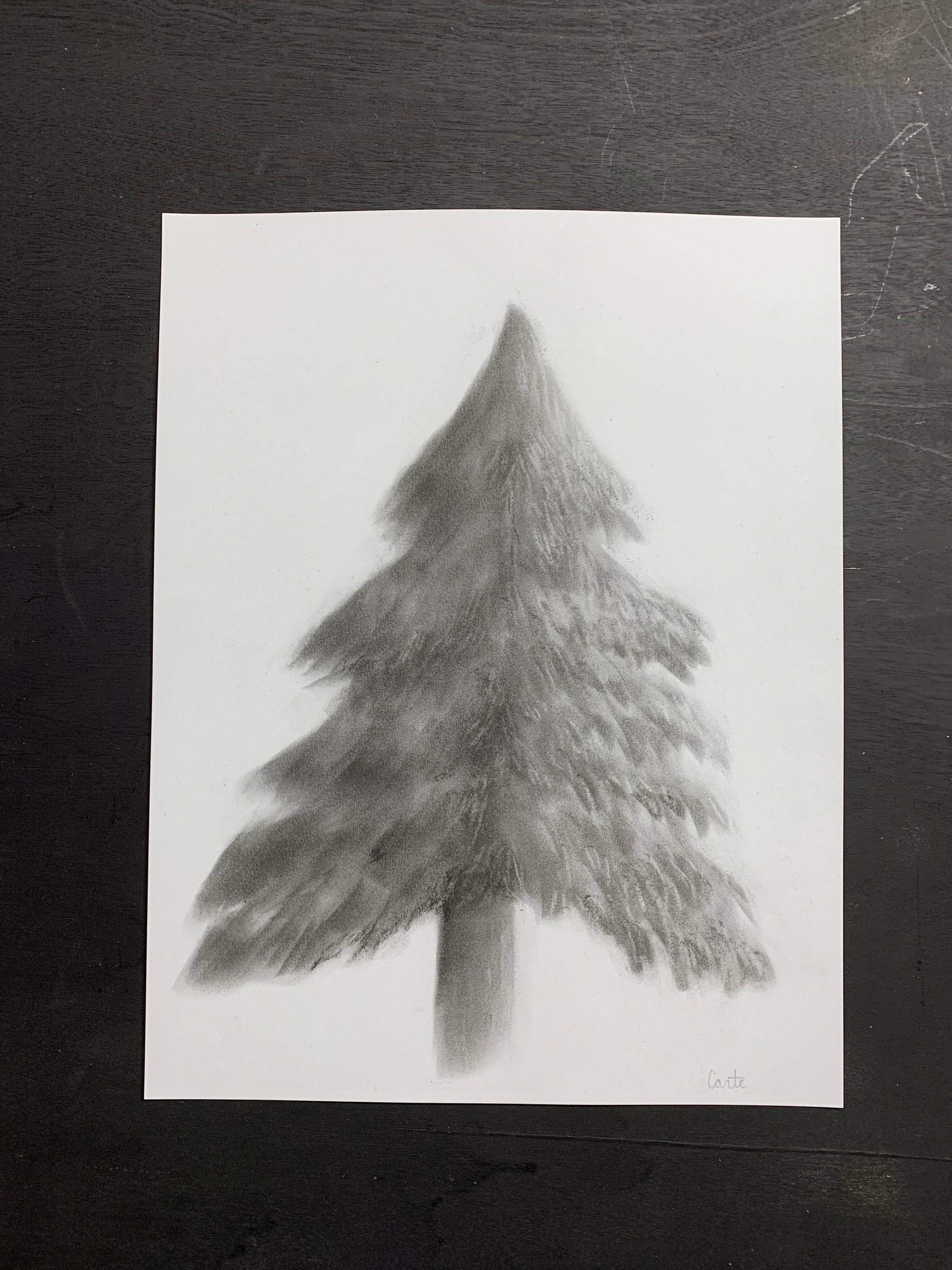 Charcoal Drawing, Drawing of a Tree, Charcoal Print, Nature Art, Hand