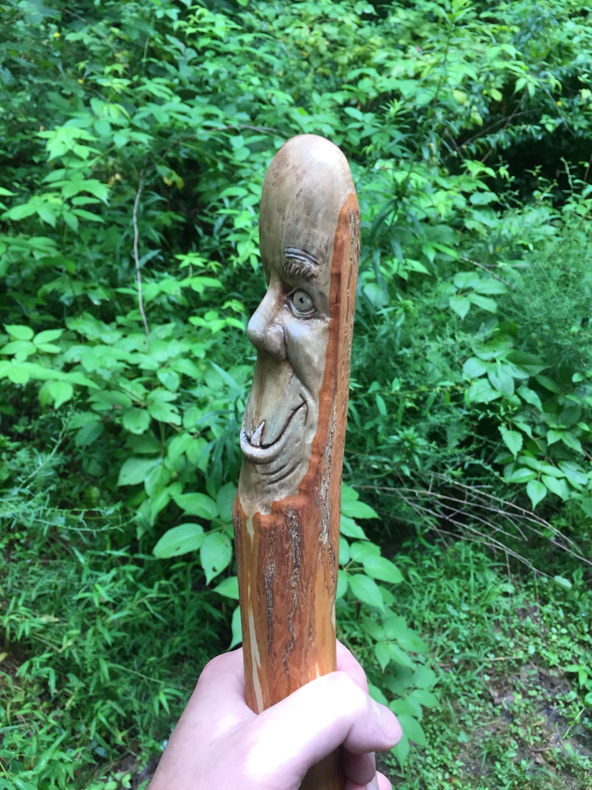Walking Stick, Wood Carving, Cane, Staff, Hiking, Wood Spirit Carving