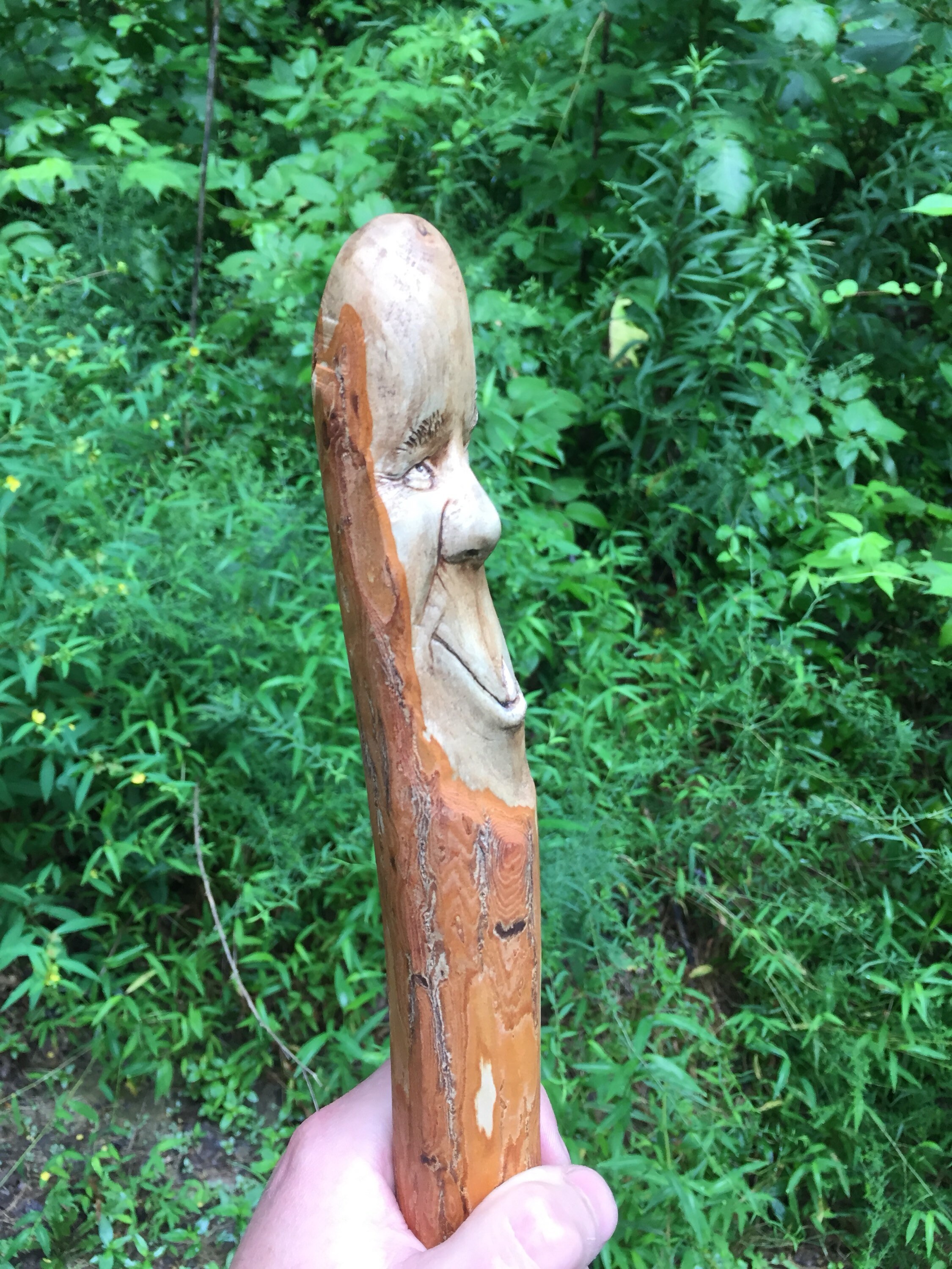 Walking Stick, Wood Carving, Cane, Staff, Hiking, Wood Spirit Carving