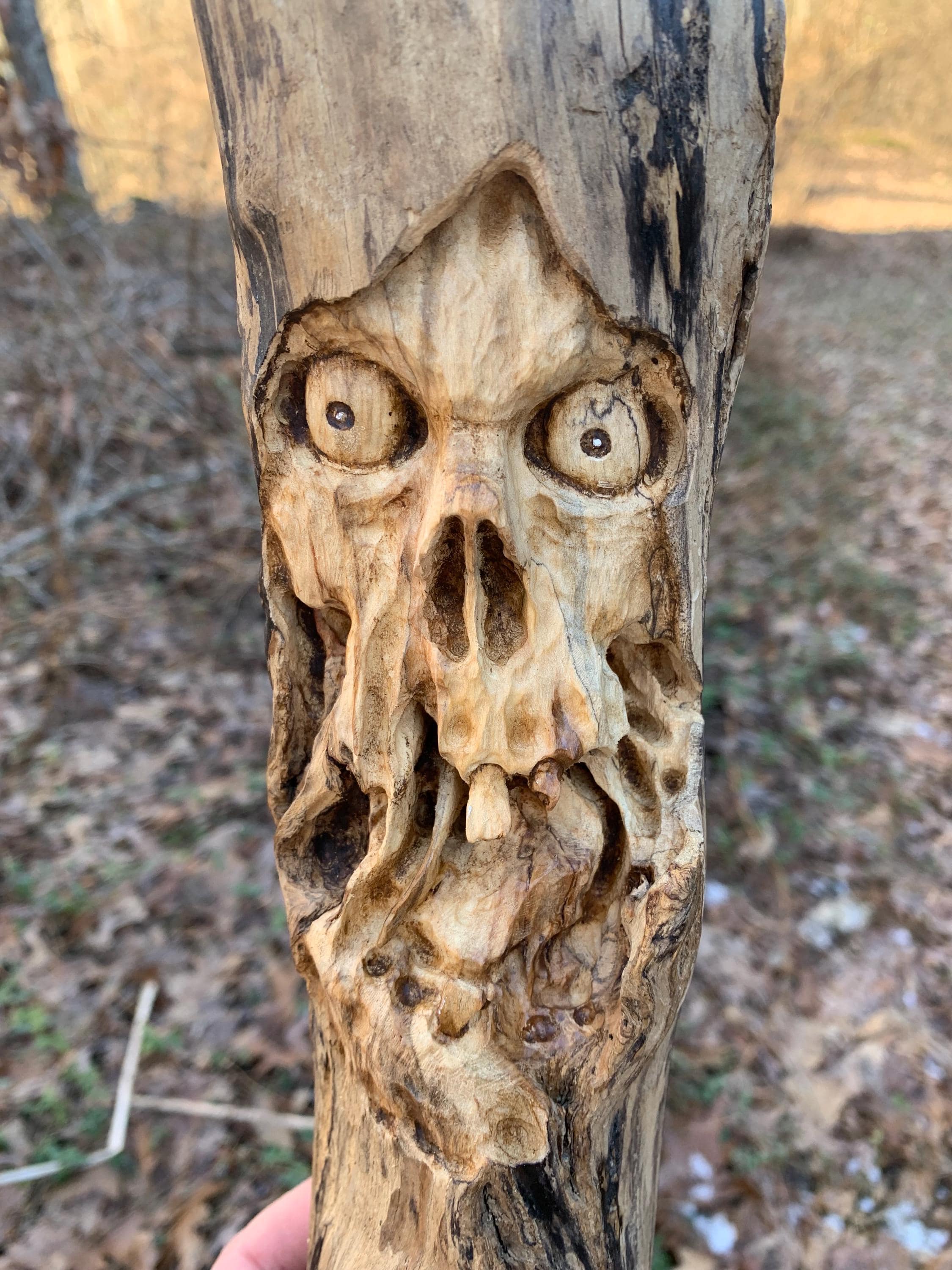 Driftwood Carving Skull Wood Carving Hand Carved Wood Art by Josh
