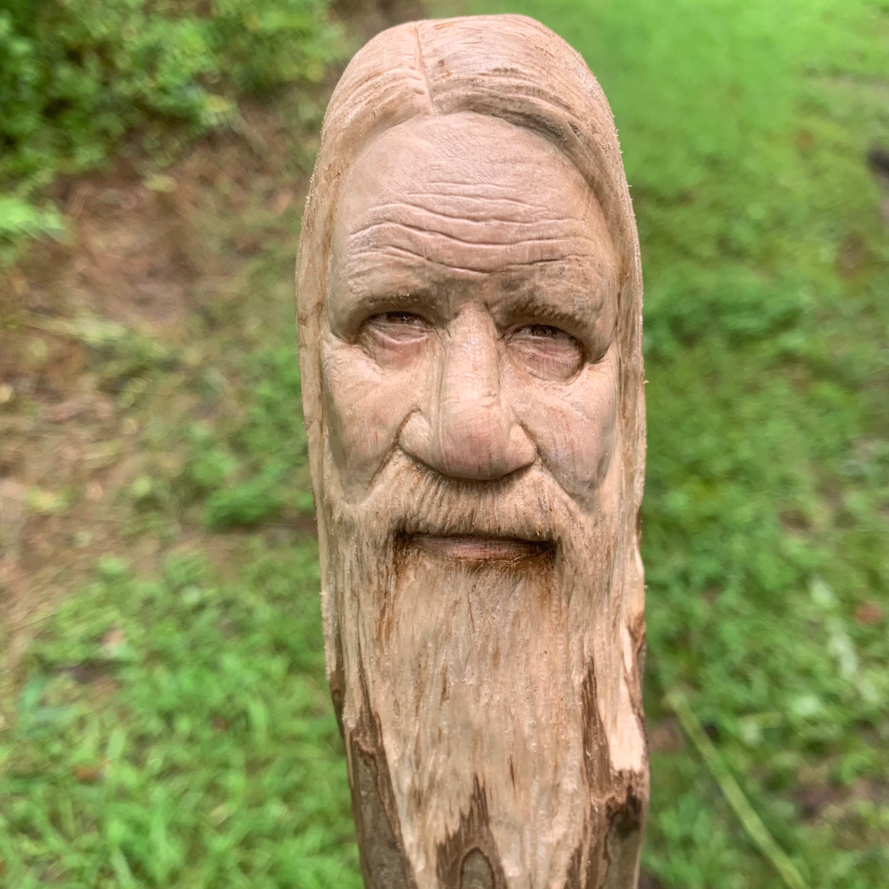 Walking Stick, Wood Carving, Carved Walking Stick, Hand Carved Wood Art