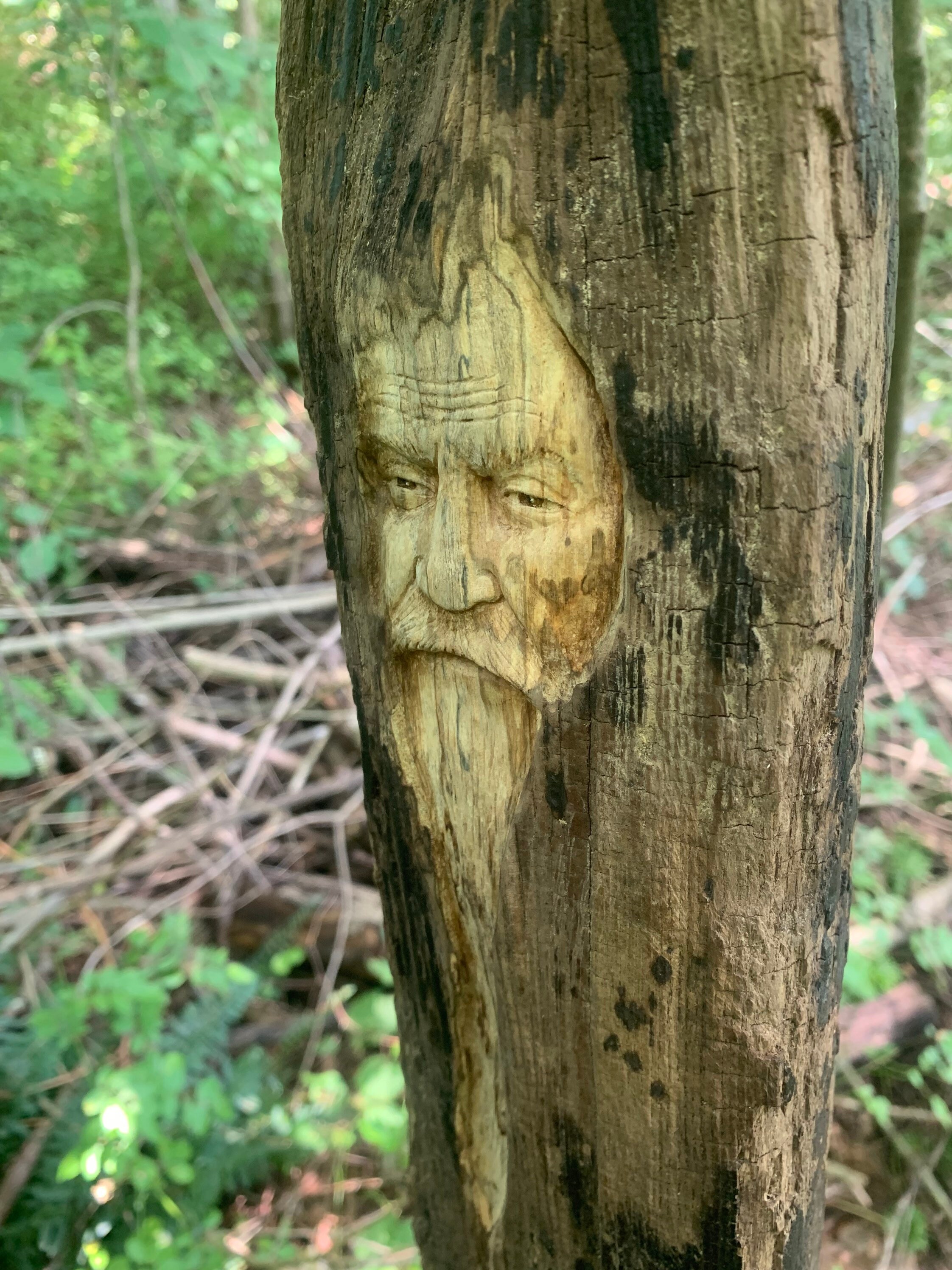 Driftwood Carving, Hand Carved Wood Art, by Josh Carte, Wood Wall Art