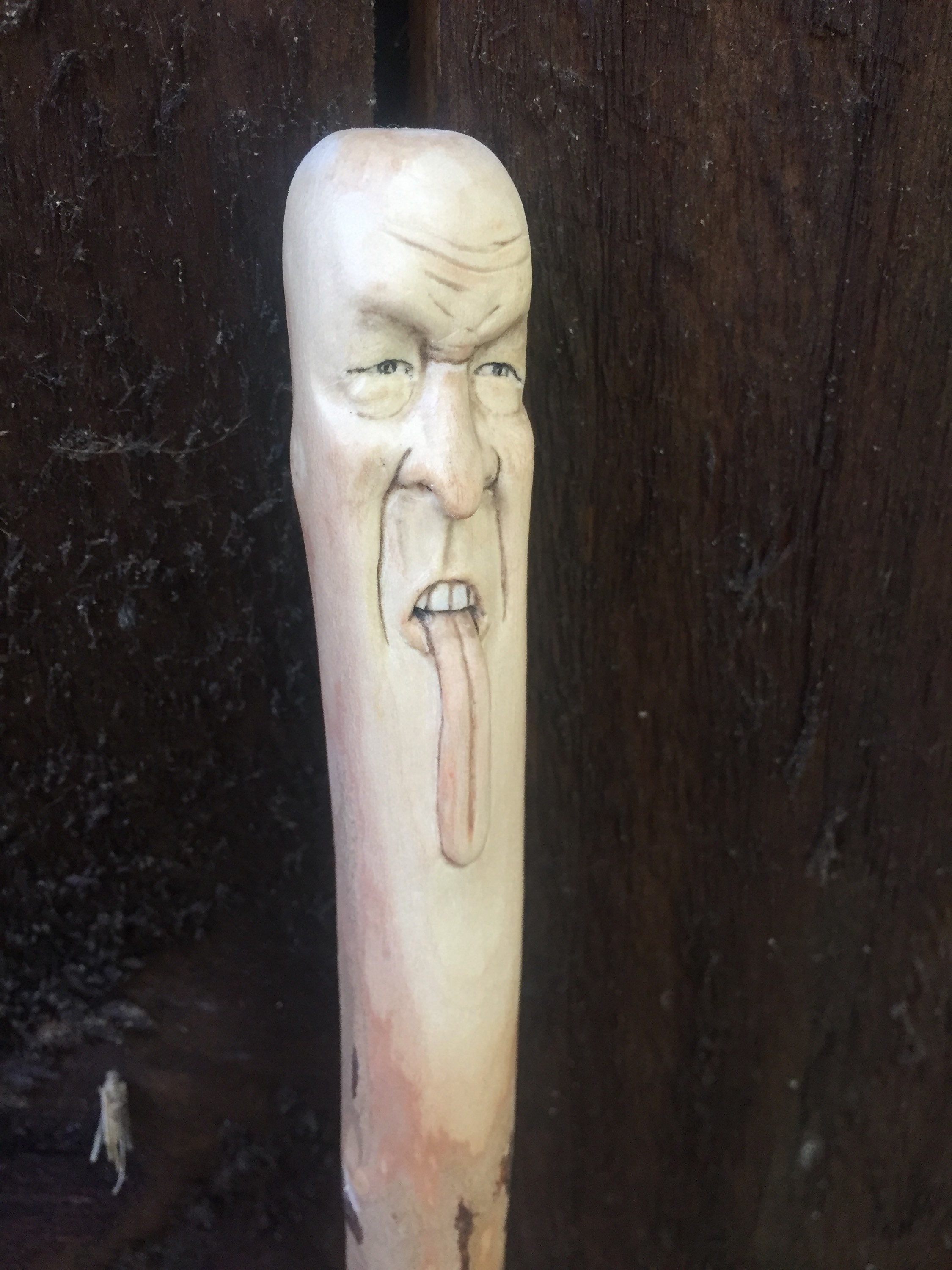 Walking Stick Wooden Hiking With