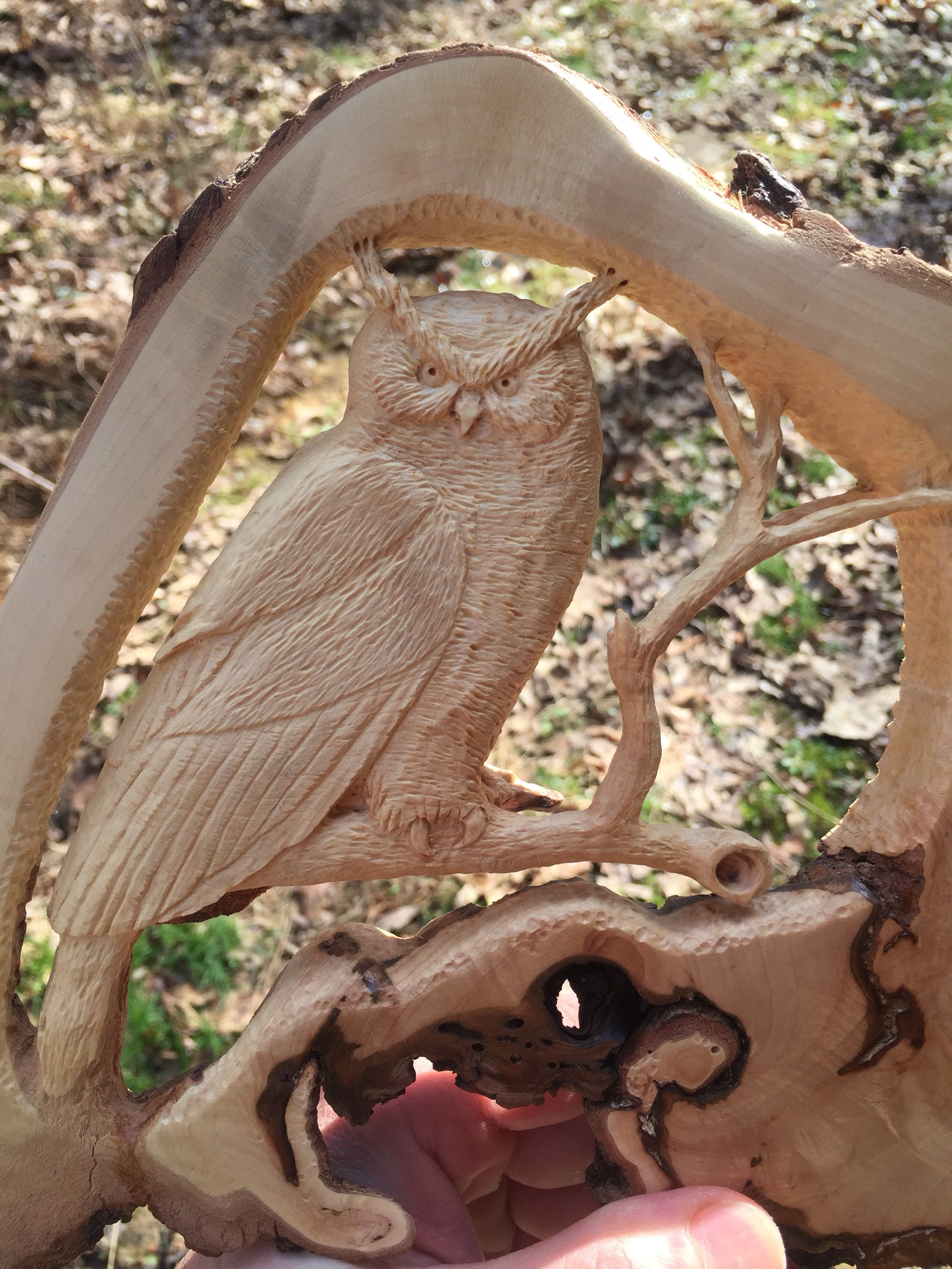 Owl, Wood Carving, Hand Carved, Wall Art Sculpture, Wall Plaque