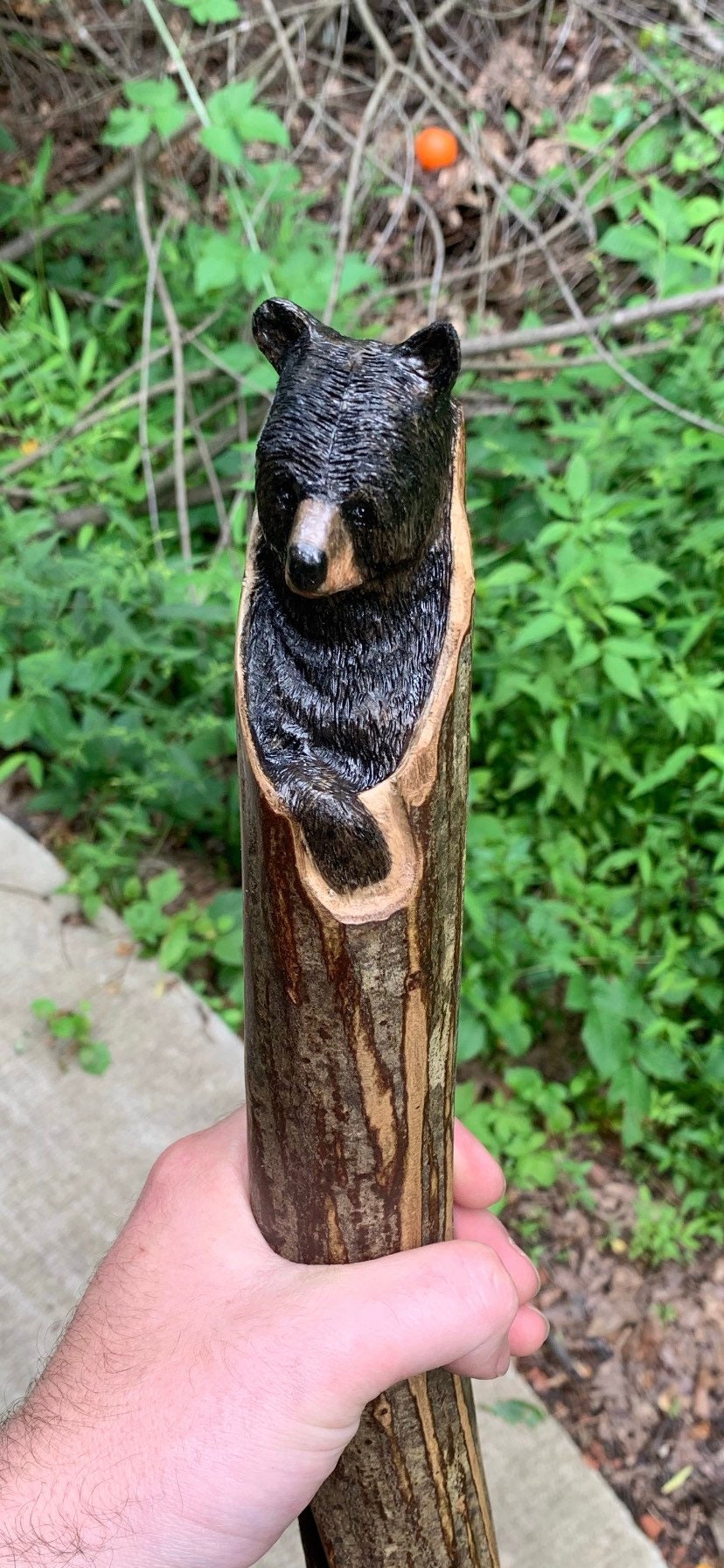 Bear Walking Stick, Bear Wood Carving, Hand Carved Wood Art, Bear