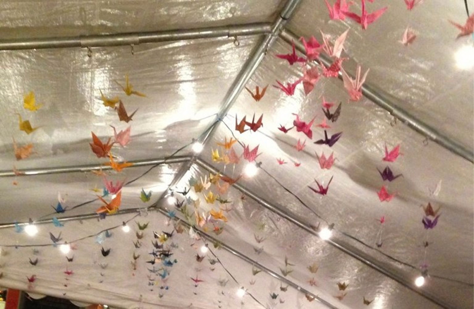 Red and Green Origami Paper Floral Design 100 Pack. Etsy