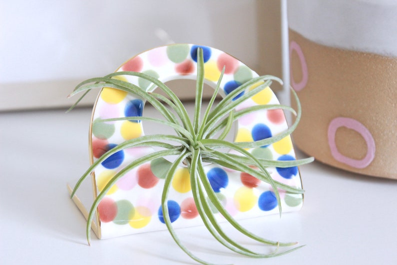 Air Plant Gift Ceramic Air Plant Holder Gold Decor Rainbow Air Planter Botanical Decor Geometric Air Plant Stand Plant Lovers Gift