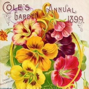 May include: Vintage seed packet featuring a colorful floral arrangement of yellow, red, and purple pansies. The text on the packet reads "Cole's Annual Garden 1899. Dwarf Nasturtiums. Garden and Flower Seeds. Pella, Iowa."