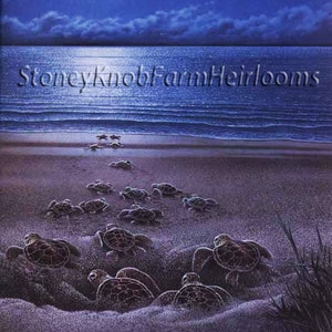 Może przedstawiać: Nocna scena z pełnią księżyca nad ciemnoniebieskim oceanem. Linia morskich żółwi idzie po piaszczystej plaży w kierunku wody. Tekst "Stoney Knob Farm Heirlooms" jest widoczny w lewym górnym rogu obrazu.