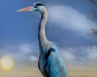 Blue Heron ~ Birds ~ DIY Cross Stitch Pattern ~ Download