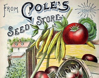 May include: Vintage illustration of a watermelon, a gourd, a garlic bulb, and a cucumber. The image is from Cole's Seed Store in Pella, Iowa.