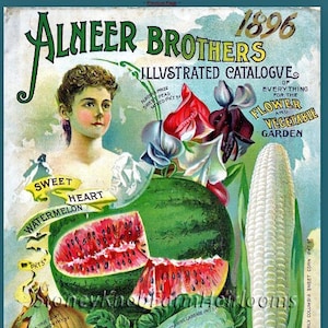 Alneer Bros 1896 Vintage Samen Katalog ~ DIY 2 Kreuzstichmuster ~ Eins in Farbe und eins in SchwarzWeißen Symbolen ~ Digitaler Download