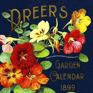 Puede incluir: Un anuncio vintage para el Calendario de Jardín de Dreer's de 1899. El anuncio presenta una ilustración colorida de flores de capuchina con hojas verdes sobre un fondo azul oscuro. El texto "Dreer's Garden Calendar 1899" está en letras doradas. La parte inferior del anuncio incluye el nombre de la empresa "Henry A. Dreer" y la dirección "714 Chestnut St Philadelphia".
