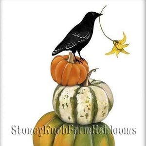 May include: A stack of four pumpkins, with a black crow perched on top of the smallest pumpkin. The crow is holding a yellow flower in its beak. The pumpkins are various shades of orange, green, and white. The text "Stone Knob Farm Heirlooms" is visible at the bottom of the image.