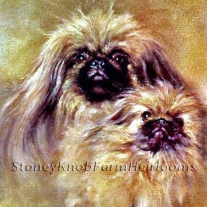 Pekingese Mom and Puppy ~ Lucy Dawson, Dogs, Puppies ~ 2 DIY Cross Stitch Patterns ~ Color and BlackWhite Symbols ~ Digital Download