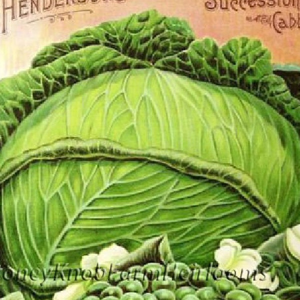 Bartelde's Seeds 1918 Farmer Vintage Seed Catalog DIY 2 Cross Stitch