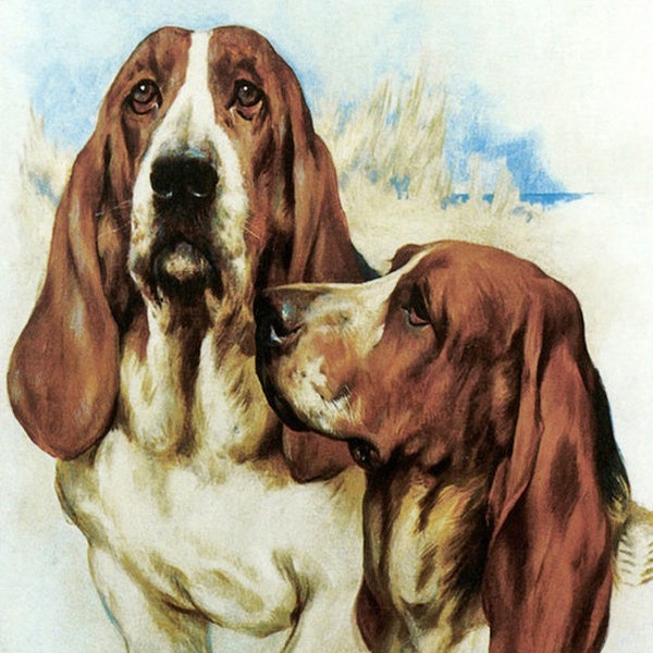 Basset Hounds ~ Dogs, Puppies ~ Arthur Wardle ~ DIY 2 Cross Stitch Patterns ~ Color and BlackWhite Symbols ~ PDF Download