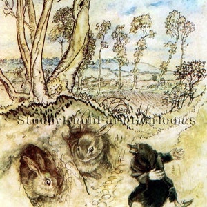 The Wind in the Willows 1 ~ Arthur Rackham ~ Fairy Tales ~ DIY 2 Cross Stitch Patterns Color and BlackWhite Symbols ~ Download