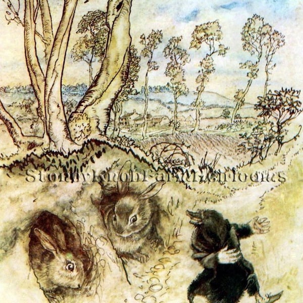 Wind in the Willows Sewing Patterns - Etsy