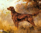 Irish Setter Percival Rousseau Dogs, Puppies DIY 2 Cross Stitch Patterns Color and BlackWhite Symbols Download