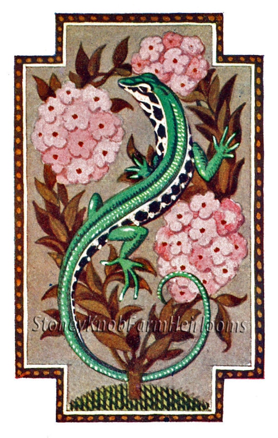 Salamander Art Nouveau Cross Stitch Pattern In Color And Etsy